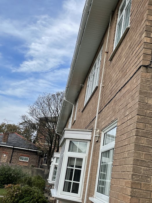 Gutter and Fascia Replacement - Photo 4