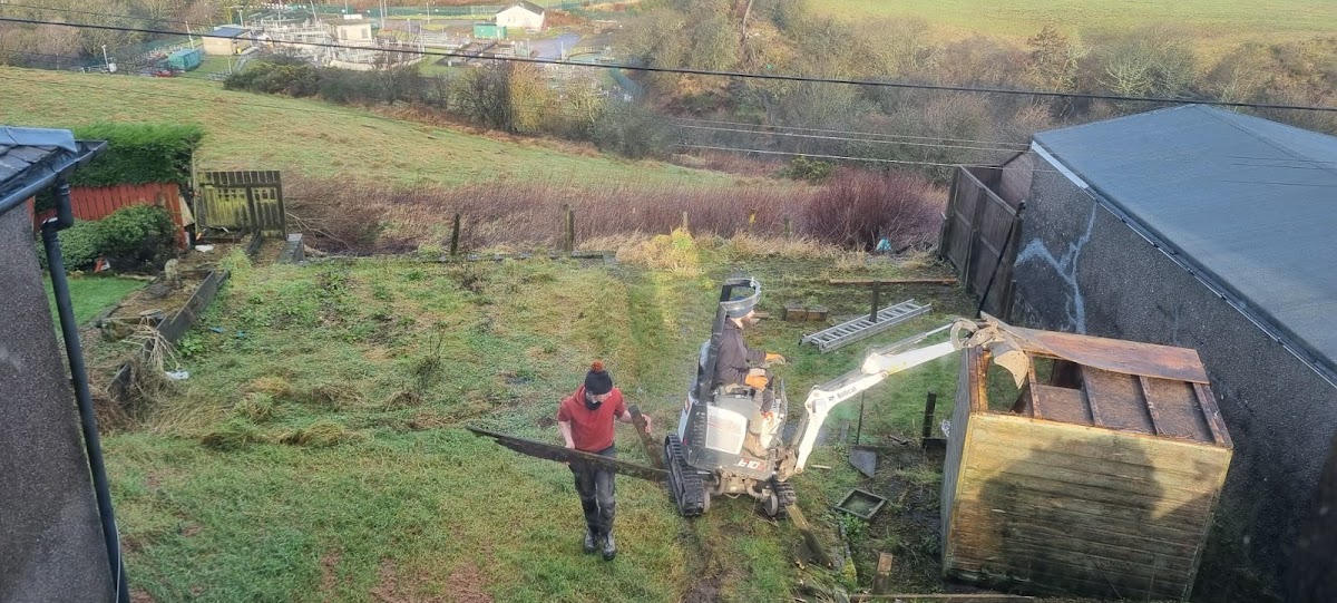 Transforming an Overgrown Marsh