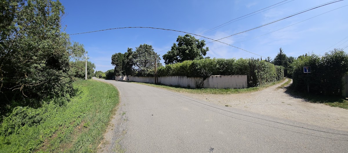 Entretien complet d'un jardin - Photo 4