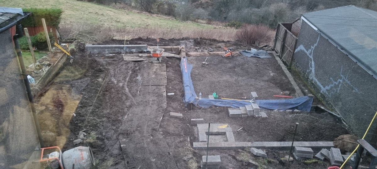 Transforming an Overgrown Marsh - Photo 2