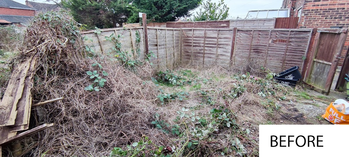 Complete Garden Transformation - Photo 2