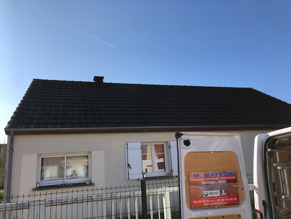 Démoussage et nettoyage de façade - Photo 4