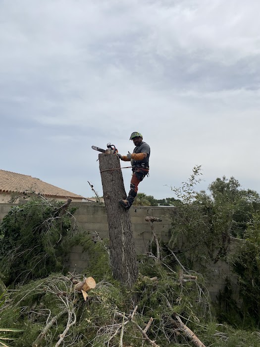 Travail soigné et professionnel - Photo 2