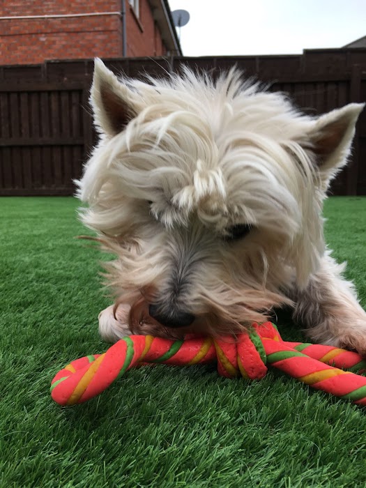 Stunning Patio Installation
