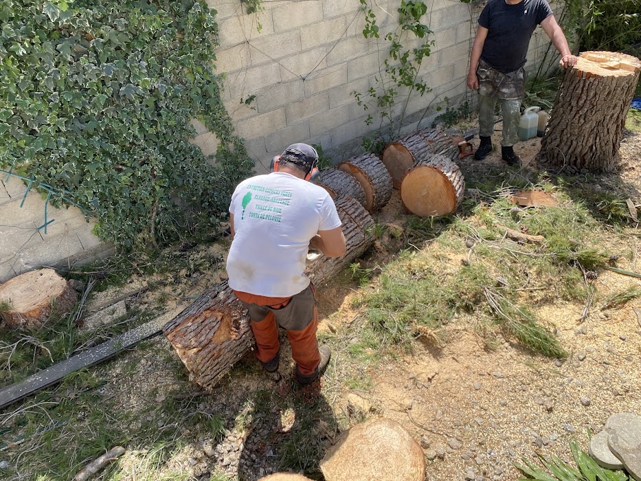 Travail soigné et professionnel - Photo 3