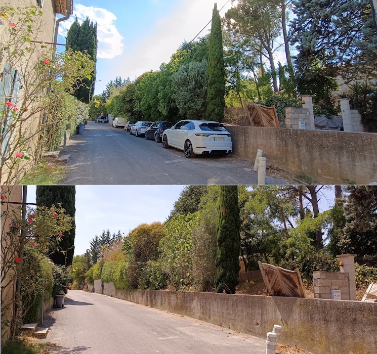 Élagage d'arbres complexes