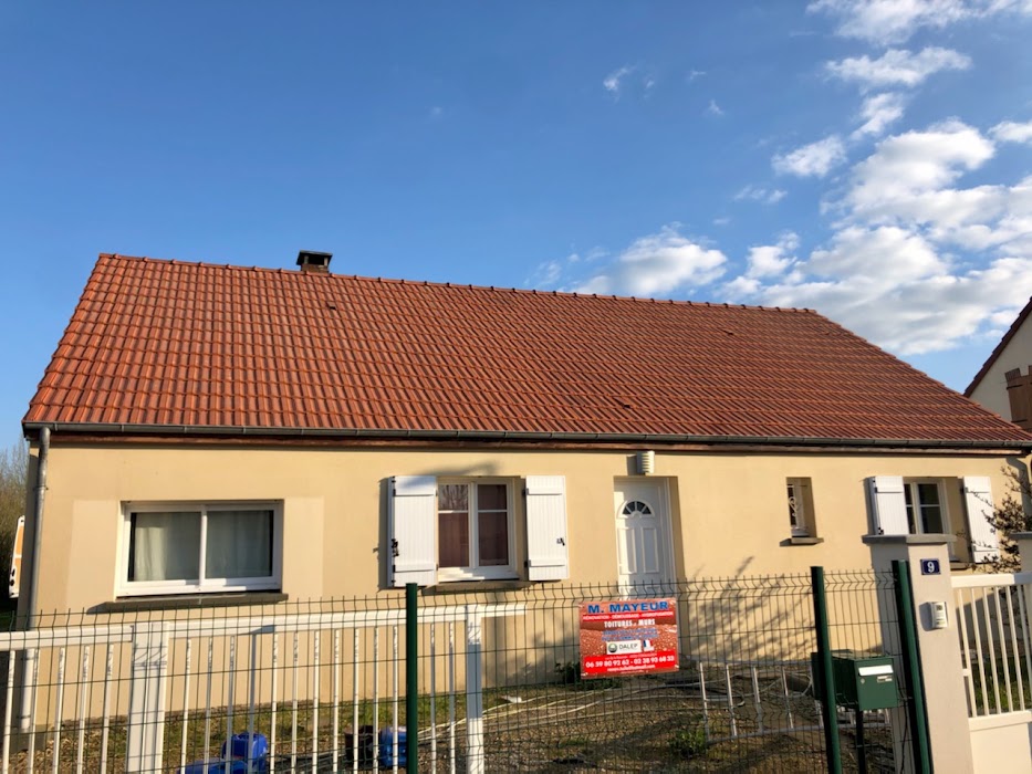 Démoussage complet de toiture - Photo 3